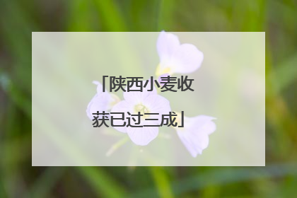 陕西小麦收获已过三成