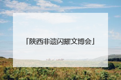 陕西非遗闪耀文博会