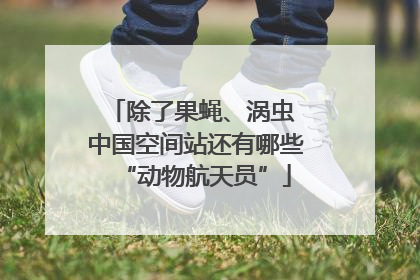 除了果蝇、涡虫 中国空间站还有哪些“动物航天员”