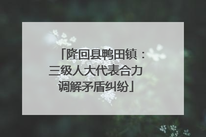 隆回县鸭田镇：三级人大代表合力调解矛盾纠纷