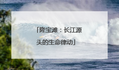 隆宝滩：长江源头的生命律动