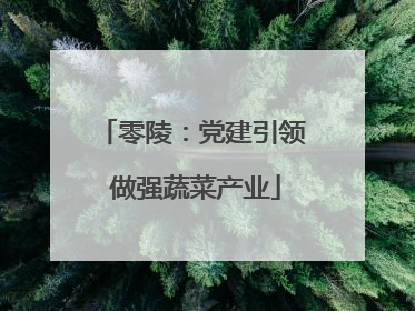零陵：党建引领 做强蔬菜产业
