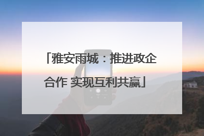雅安雨城：推进政企合作 实现互利共赢