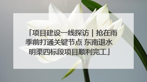 项目建设一线探访｜抢在雨季前打通关键节点 东南退水明渠四标段项目顺利完工
