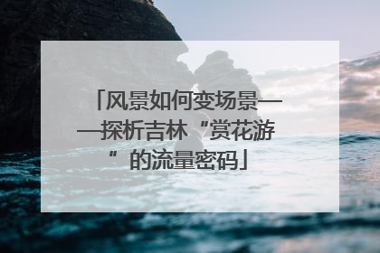 风景如何变场景——探析吉林“赏花游”的流量密码