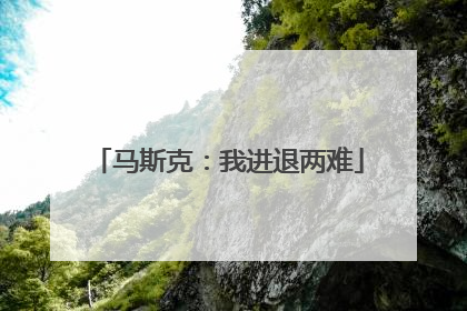 马斯克：我进退两难