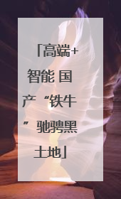 高端+智能 国产“铁牛”驰骋黑土地