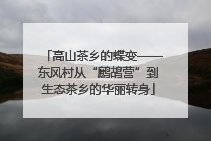 高山茶乡的蝶变——东风村从“鹧鸪营”到生态茶乡的华丽转身