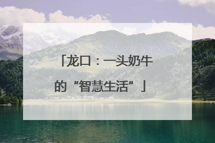 龙口：一头奶牛的“智慧生活”