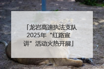 龙岩高速执法支队2025年“红路宣讲”活动火热开展