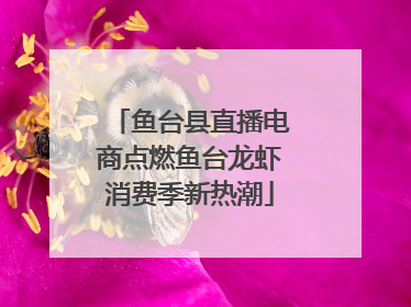 鱼台县直播电商点燃鱼台龙虾消费季新热潮