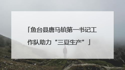 鱼台县唐马镇第一书记工作队助力“三夏生产”