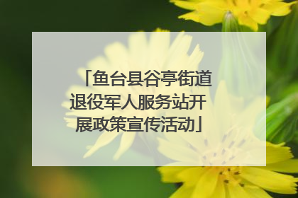鱼台县谷亭街道退役军人服务站开展政策宣传活动