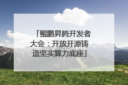 鲲鹏昇腾开发者大会：开放开源铸造坚实算力底座