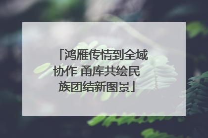 鸿雁传情到全域协作 甬库共绘民族团结新图景