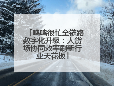 鸣鸣很忙全链路数字化升级：人货场协同效率刷新行业天花板