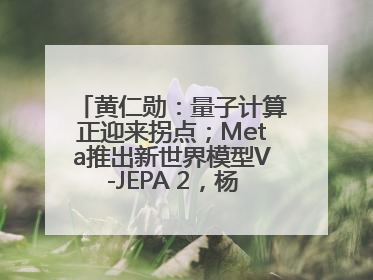 黄仁勋：量子计算正迎来拐点；Meta推出新世界模型V-JEPA 2，杨立昆参与开发丨全球科技早参