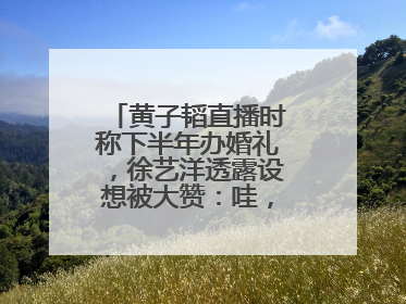 黄子韬直播时称下半年办婚礼，徐艺洋透露设想被大赞：哇，这个太好了