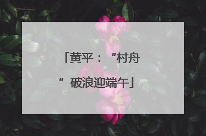 黄平：“村舟”破浪迎端午