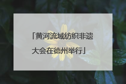 黄河流域纺织非遗大会在德州举行