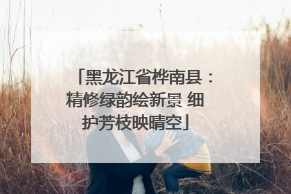 黑龙江省桦南县：精修绿韵绘新景 细护芳枝映晴空