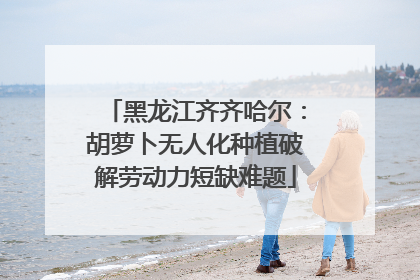 黑龙江齐齐哈尔：胡萝卜无人化种植破解劳动力短缺难题