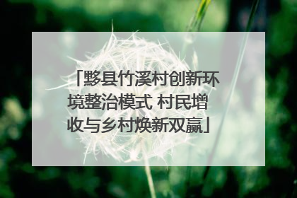 黟县竹溪村创新环境整治模式 村民增收与乡村焕新双赢