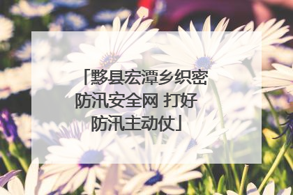 黟县宏潭乡织密防汛安全网 打好防汛主动仗