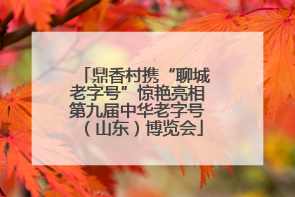 鼎香村携“聊城老字号”惊艳亮相第九届中华老字号（山东）博览会