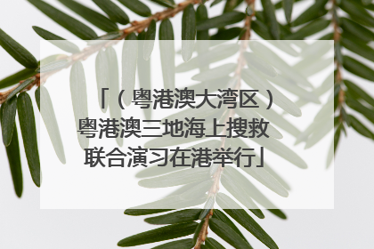 （粤港澳大湾区）粤港澳三地海上搜救联合演习在港举行