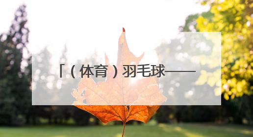 （体育）羽毛球——印尼公开赛：程星/张驰晋级混双八强