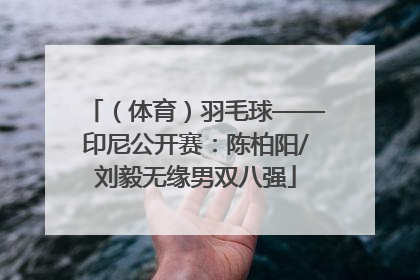 （体育）羽毛球——印尼公开赛：陈柏阳/刘毅无缘男双八强