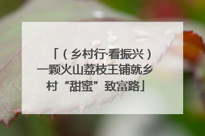（乡村行·看振兴）一颗火山荔枝王铺就乡村“甜蜜”致富路