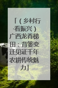 （乡村行·看振兴）广西龙脊梯田：背篓变迁见证千年农耕传统魅力
