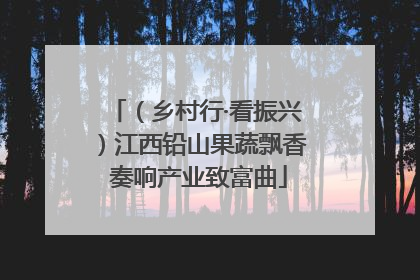 （乡村行·看振兴）江西铅山果蔬飘香 奏响产业致富曲