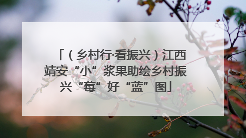 （乡村行·看振兴）江西靖安“小”浆果助绘乡村振兴“莓”好“蓝”图