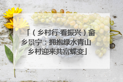 （乡村行·看振兴）畲乡景宁：拥抱绿水青山 乡村迎来共富蝶变