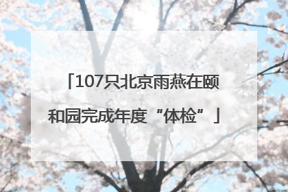 107只北京雨燕在颐和园完成年度“体检”