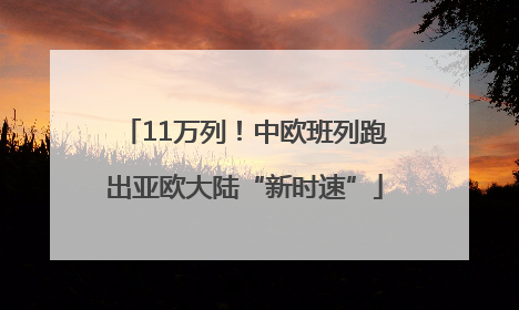 11万列！中欧班列跑出亚欧大陆“新时速”