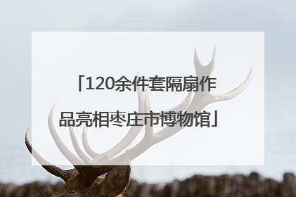 120余件套隔扇作品亮相枣庄市博物馆