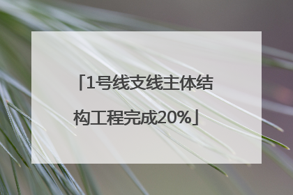 1号线支线主体结构工程完成20%