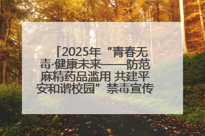 2025年“青春无毒·健康未来——防范麻精药品滥用 共建平安和谐校园”禁毒宣传专题活动在咸宁举行