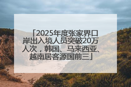 2025年度张家界口岸出入境人员突破20万人次，韩国、马来西亚、越南居客源国前三