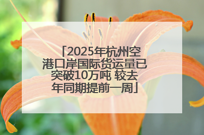 2025年杭州空港口岸国际货运量已突破10万吨 较去年同期提前一周