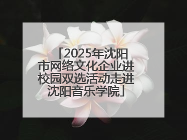 2025年沈阳市网络文化企业进校园双选活动走进沈阳音乐学院
