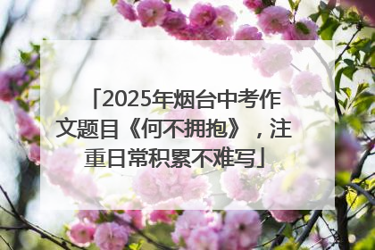 2025年烟台中考作文题目《何不拥抱》，注重日常积累不难写