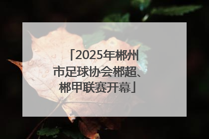 2025年郴州市足球协会郴超、郴甲联赛开幕