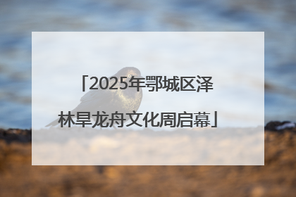 2025年鄂城区泽林旱龙舟文化周启幕