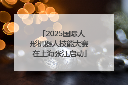 2025国际人形机器人技能大赛在上海张江启动