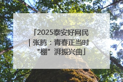 2025泰安好网民｜张腾：青春正当时 “棚”湃振兴曲